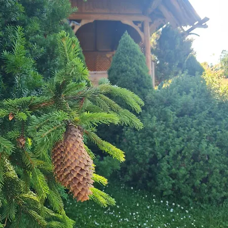 Przy Srodkowej 53 * Bialka Tatrzanska
